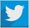 Twitter Link